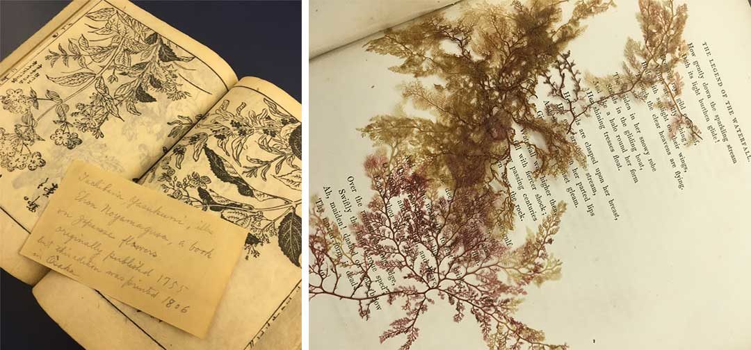 Storied Books: A Library and Archives Focus Exhibition