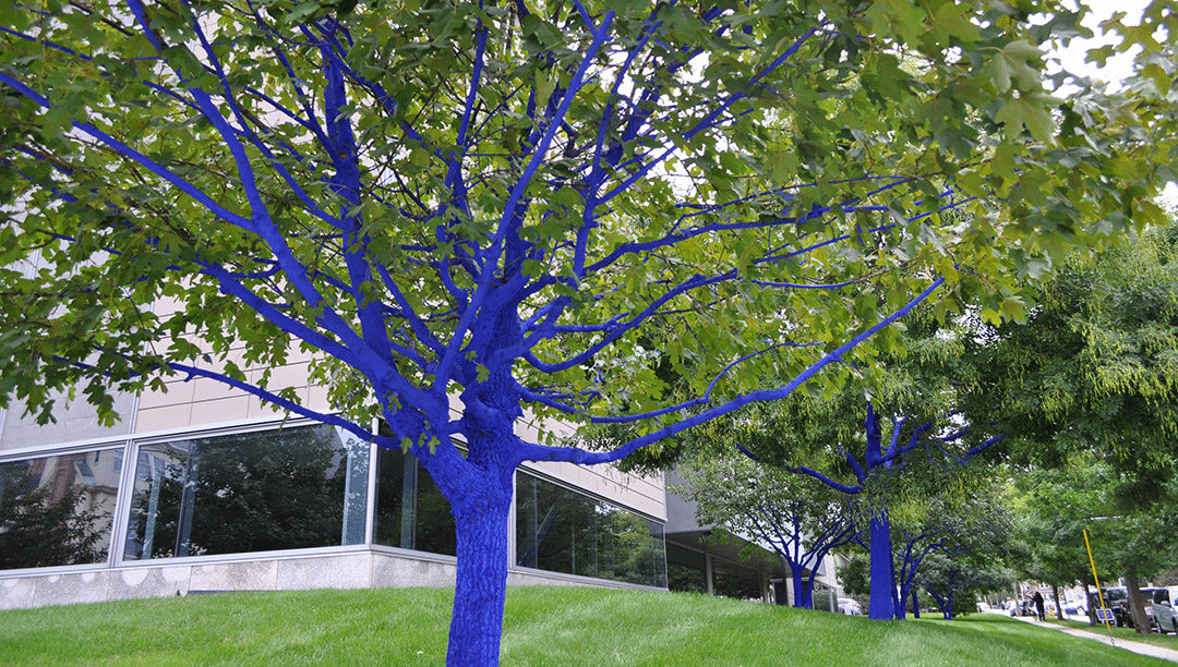 konstantin dimopoulos the blue