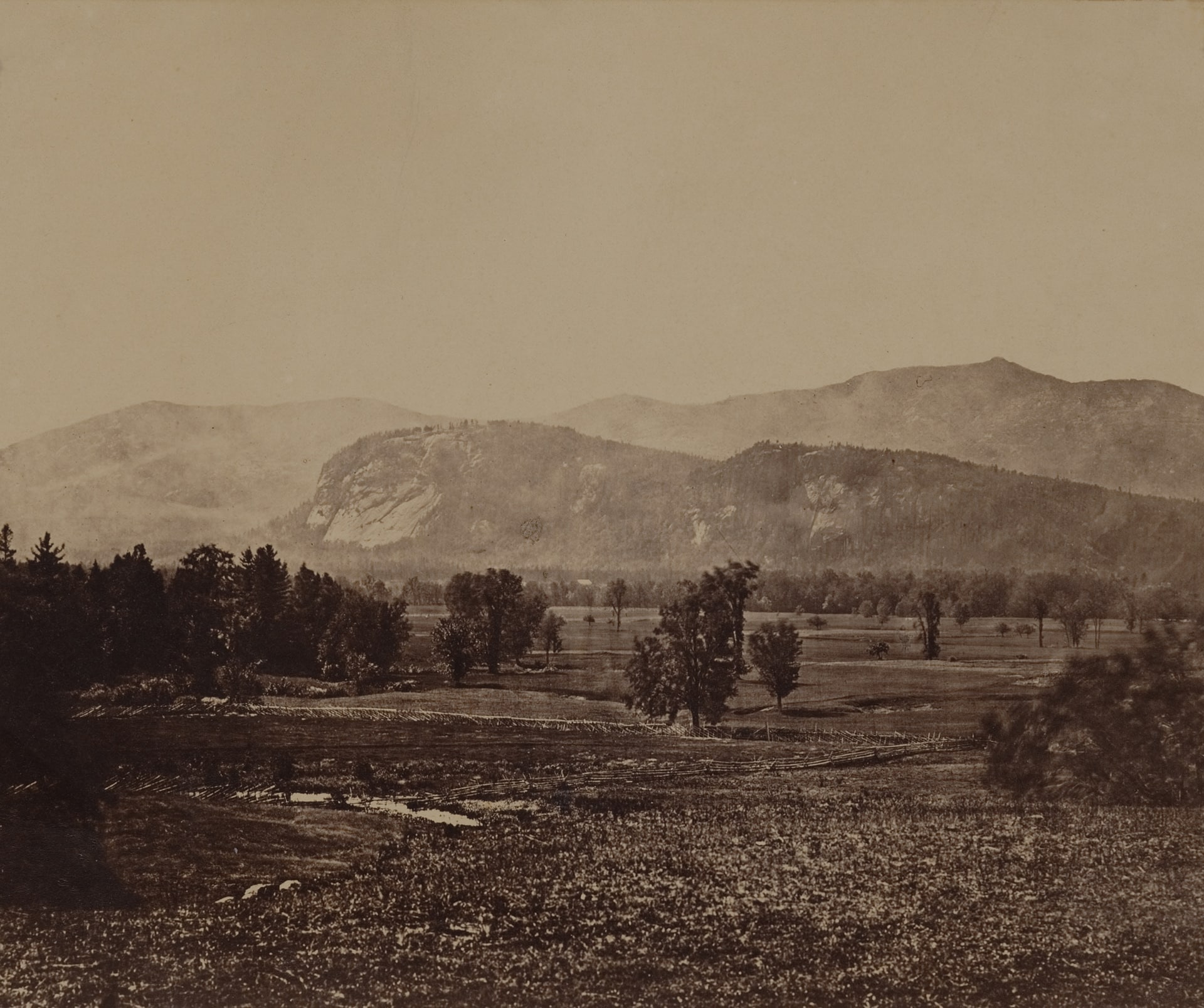 a sepia-toned photograph of a sparsely forested field with mountains in the background